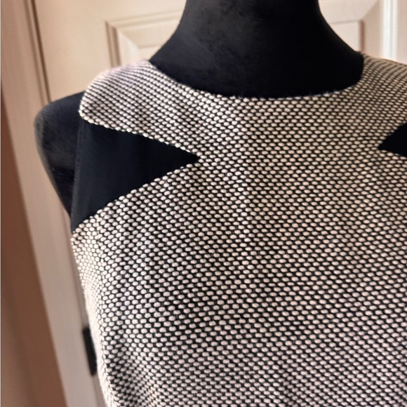 Elegant Banana Republic white & black material with black accents mini Dress - Picture 5 of 12